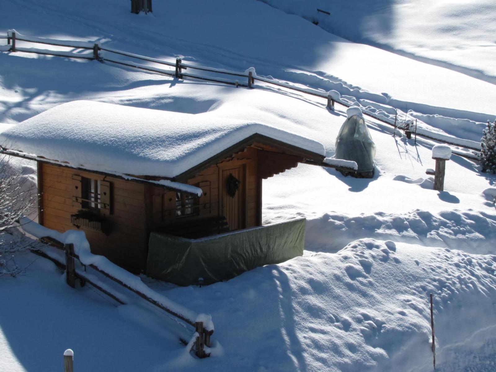 Haus Wallinger Abtenau Exterior photo